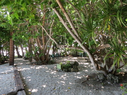 Ed & Ellen'S Lodgings Key Largo Motel Exterior photo